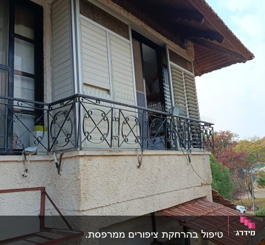 דוקרנים על מרפסת למניעת יונים